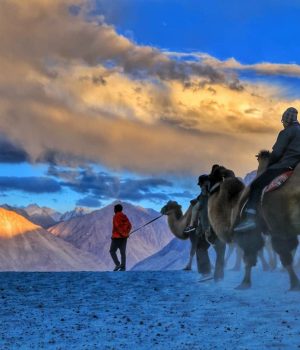 Nubra Valley